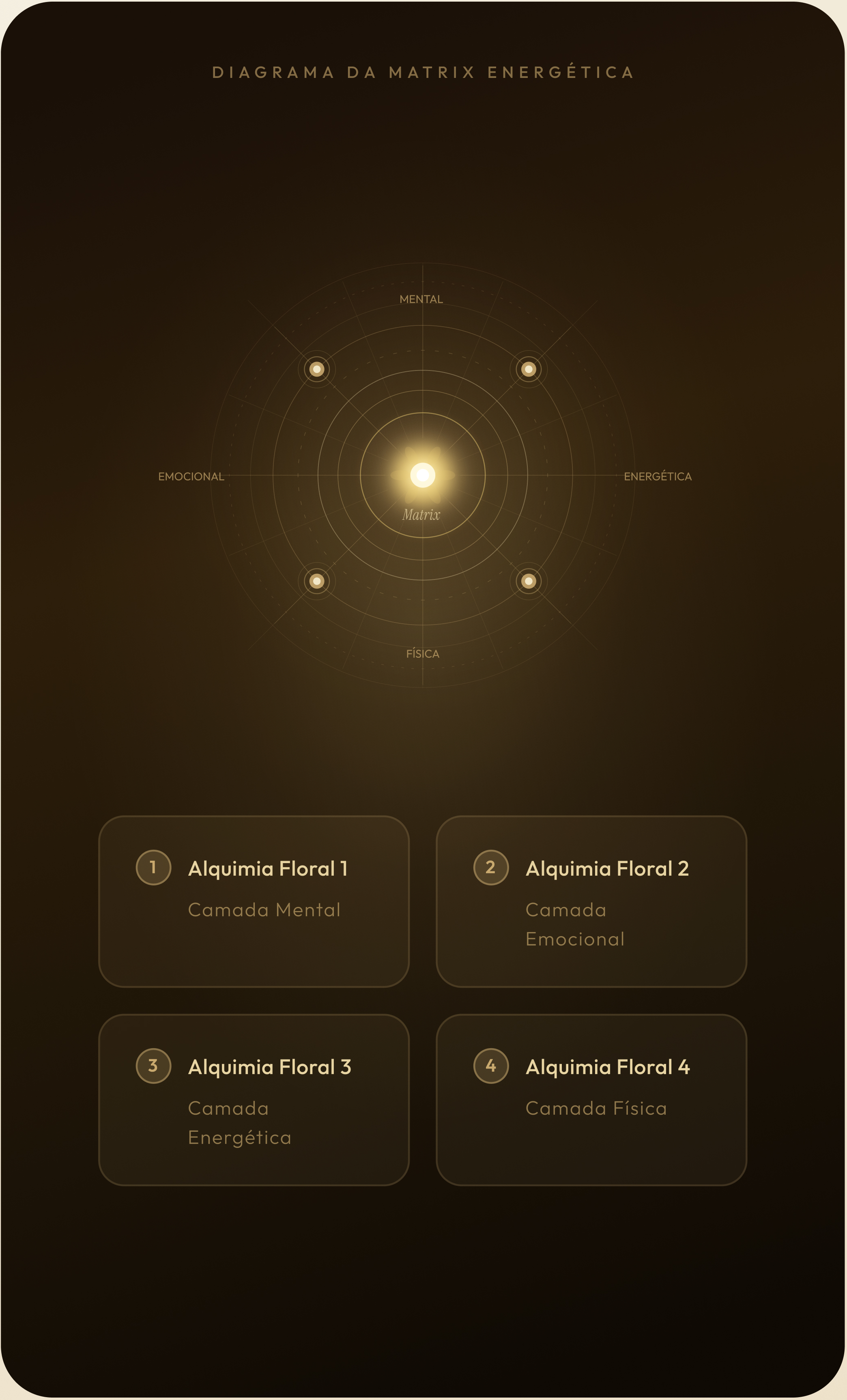 Diagrama da Matrix energética com as camadas mental, emocional, energética e física e os quatro florais do protocolo